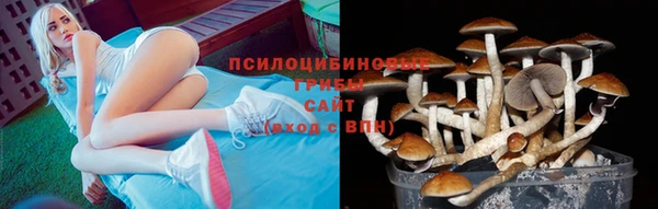 метадон Алексеевка
